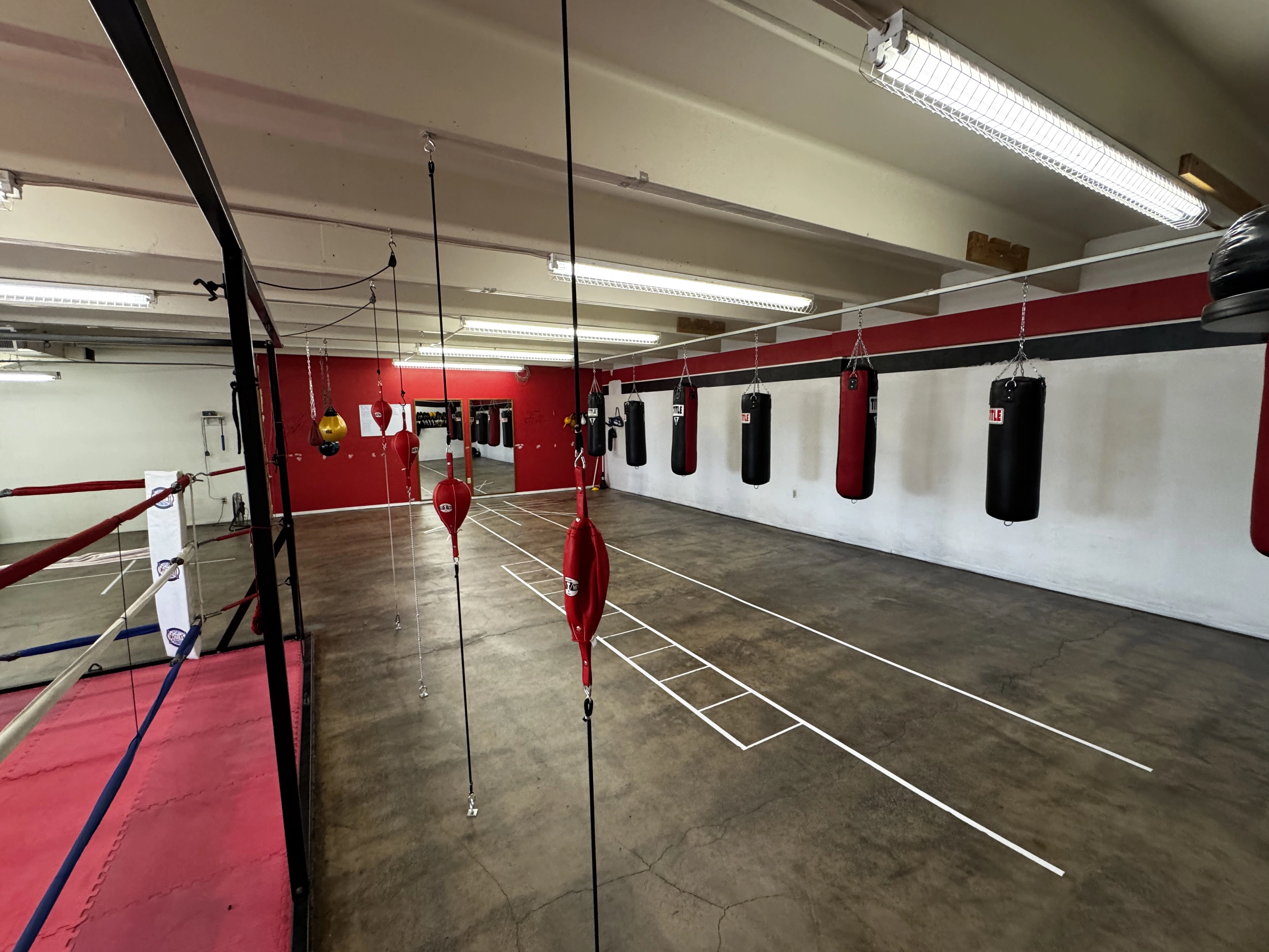 Members training in the ring at Pugilistic Boxing Academy